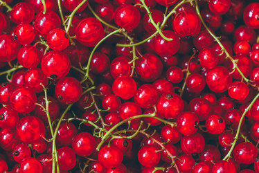 Similar image 21274501