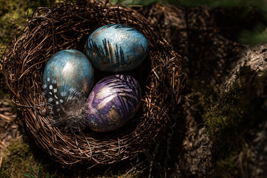 Similar image 21282081