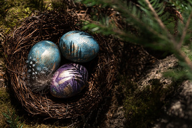 Similar image 21272595