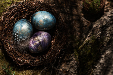 Similar image 21272596