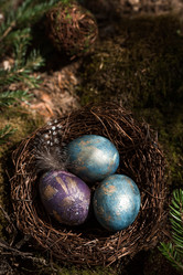 Similar image 21272694