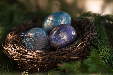 Similar image 21282083