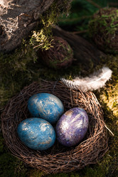 Similar image 21272696