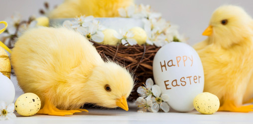 Similar image 21272597