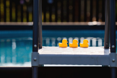 Similar image 21282331