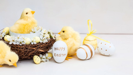 Similar image 21272599