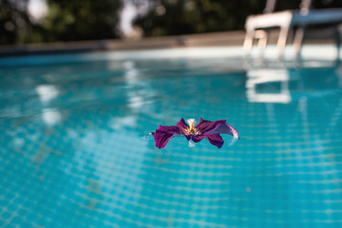 Similar image 21272621