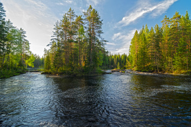 Similar image 21270896