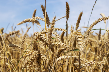 Similar image 21273283