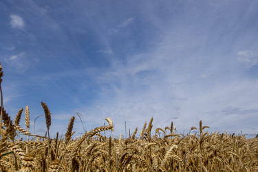 Similar image 21277993