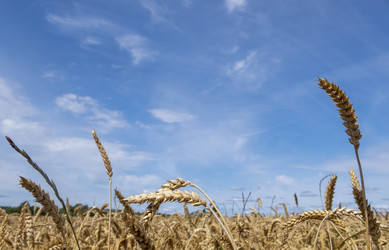 Similar image 21277994