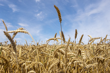 Similar image 21277995