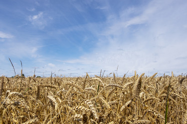 Similar image 21277997