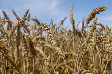 Similar image 21277998