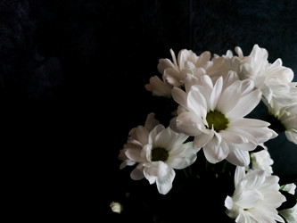 Similar image 21274625