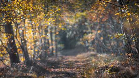 Similar image 21270912