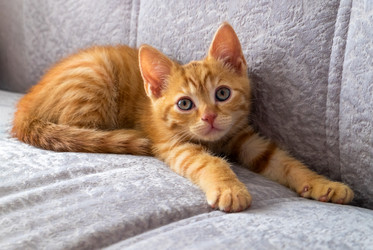 Similar image 21278023