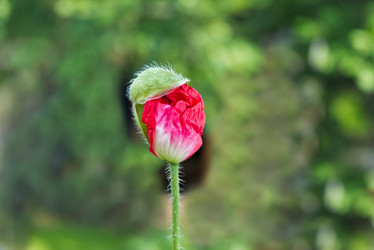 Similar image 21277527