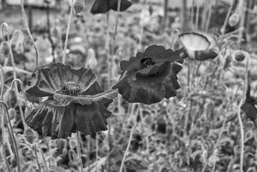 Similar image 21277528