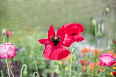 Similar image 21277529