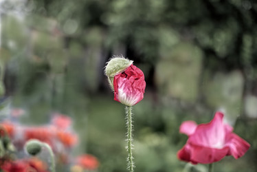 Similar image 21277530