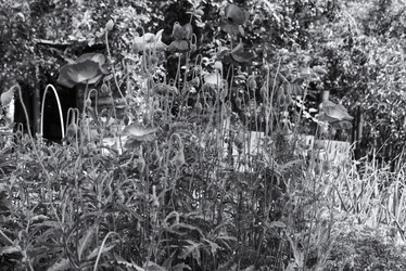 Similar image 21277532