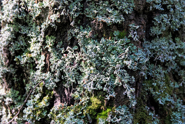 Similar image 21277533