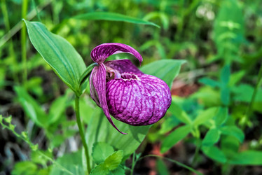 Similar image 21277534