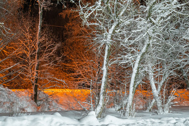 Similar image 21270944