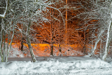 Similar image 21270945