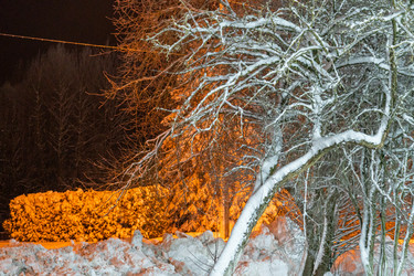 Similar image 21270946