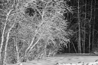 Similar image 21270949