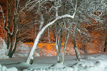 Similar image 21270953