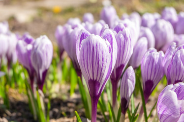 Similar image 21278472