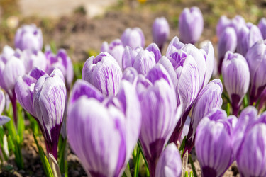 Similar image 21278473