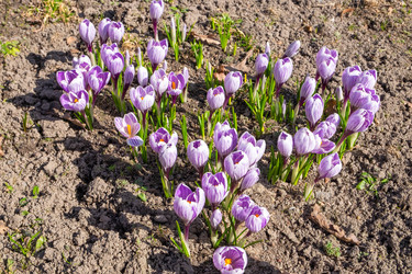 Similar image 21278476