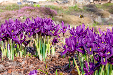 Similar image 21278477