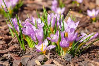 Similar image 21278478