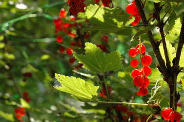 Similar image 21272745