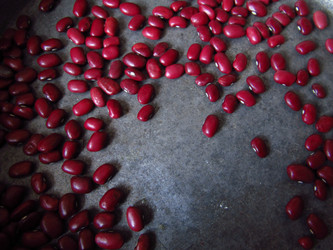 Similar image 21272746