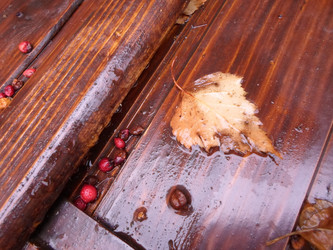 Similar image 21272747