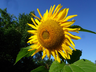 Similar image 21272749