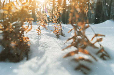 Similar image 21275118