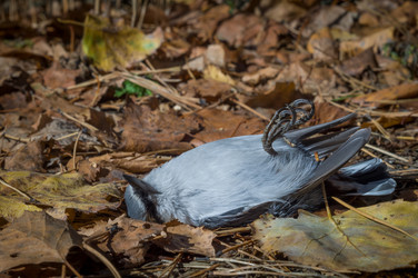 Similar image 21275133