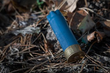 Similar image 21275134