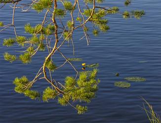 Similar image 21272753