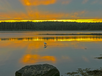 Similar image 21272757