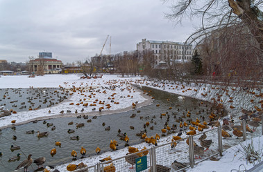 Similar image 21272758