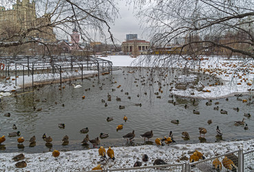 Similar image 21272759