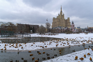 Similar image 21272760